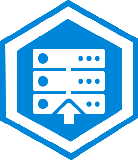 Rapid Disaster Recovery Icon