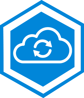 Customized Public Cloud Icon