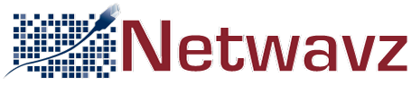 Netwavz logo